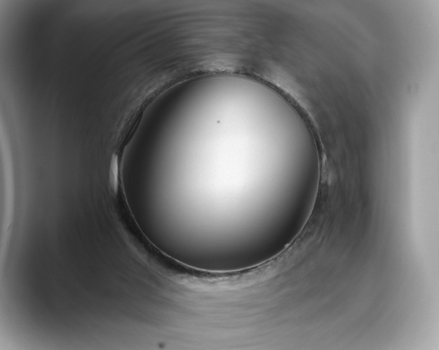 X0000089900013200707051316