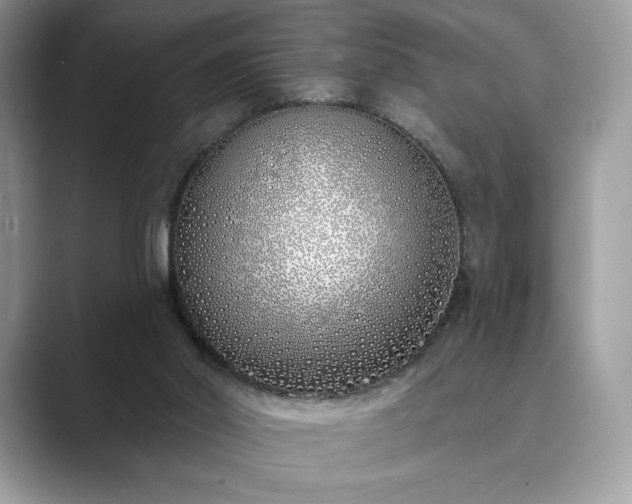 X0000089900014200707051316