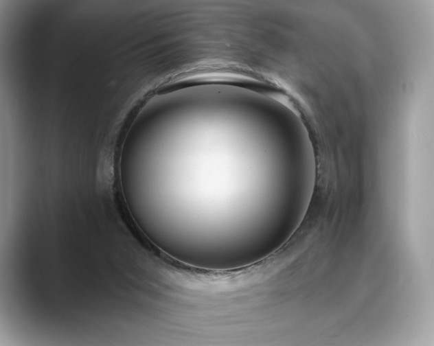 X0000089900015200707051316