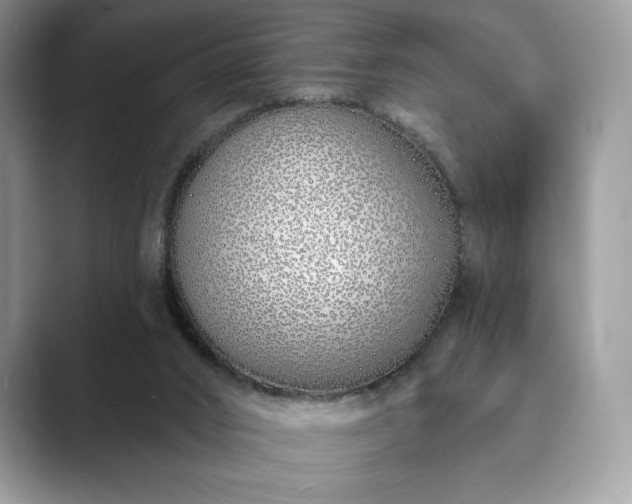 X0000089900016200707051316