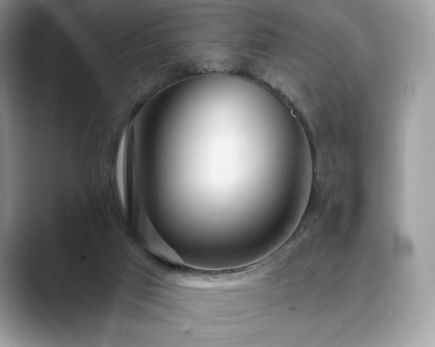 X0000089900017200707051316