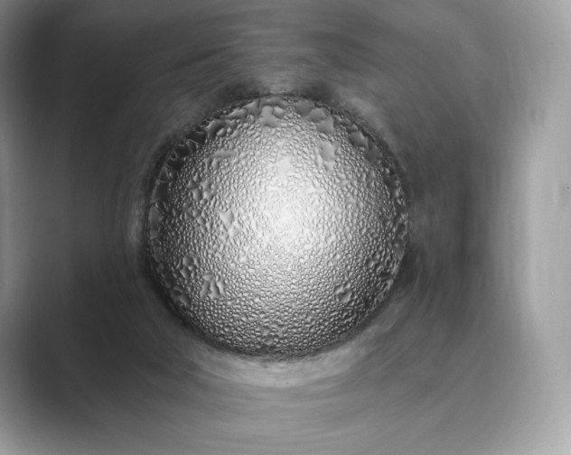 X0000089900018200707051316