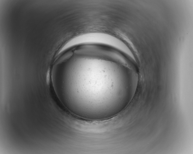 X0000089900019200707051316