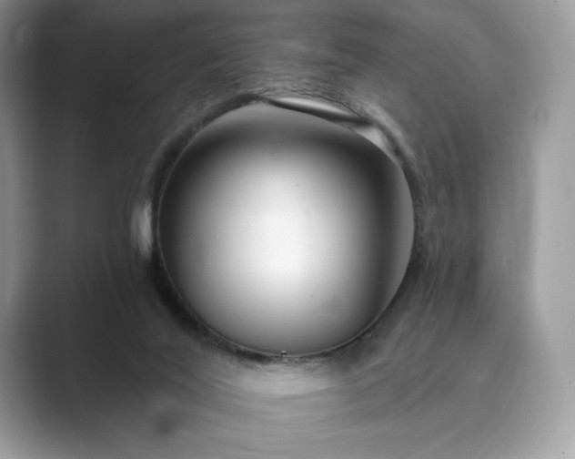 X0000089900020200707051316