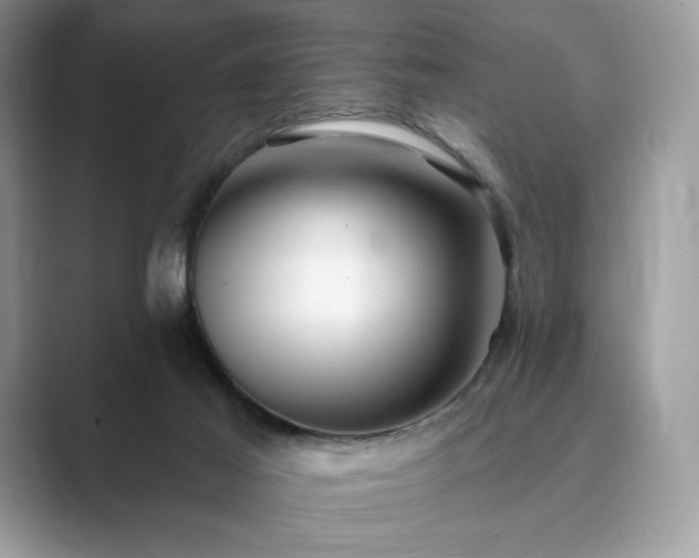 X0000089900021200707051316