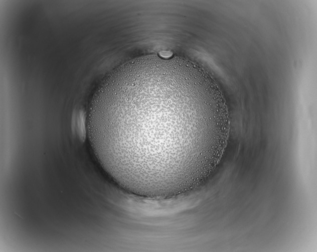 X0000089900022200707051316