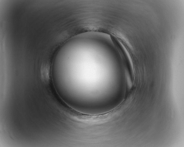 X0000089900023200707051316