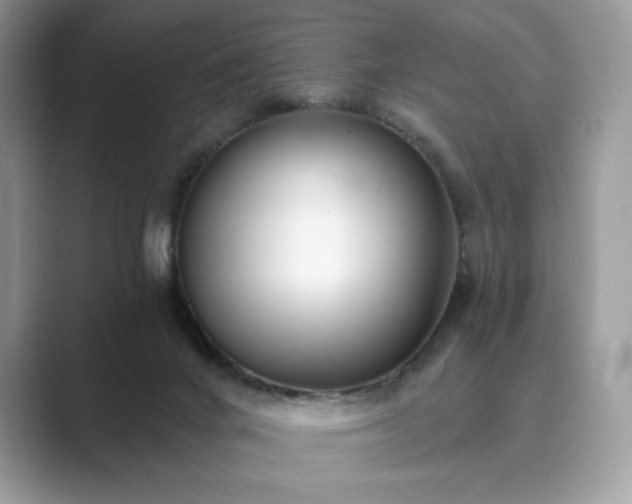X0000089900024200707051316