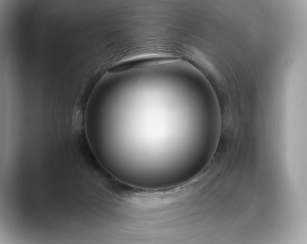 X0000089900025200707051316