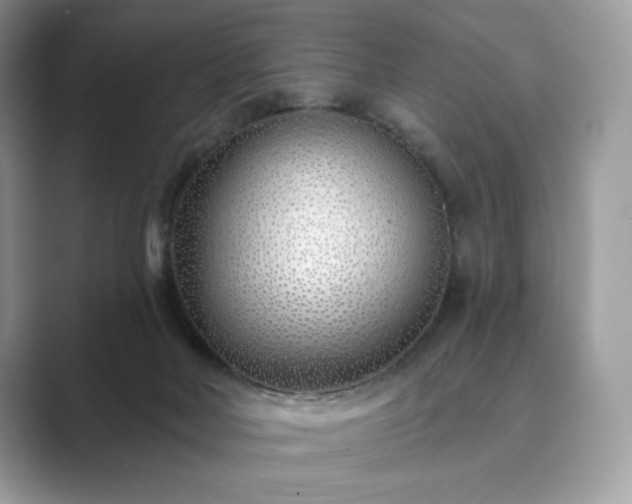 X0000089900026200707051316