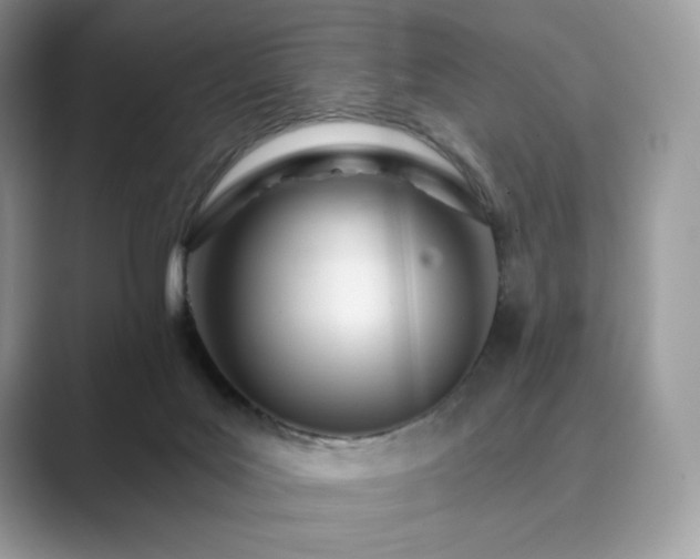 X0000089900027200707051316