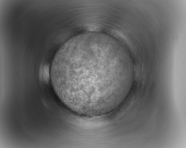 X0000089900028200707051316