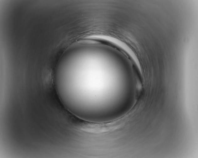 X0000089900029200707051316