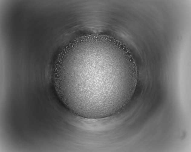 X0000089900030200707051316