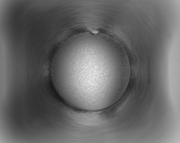 X0000089900032200707051316