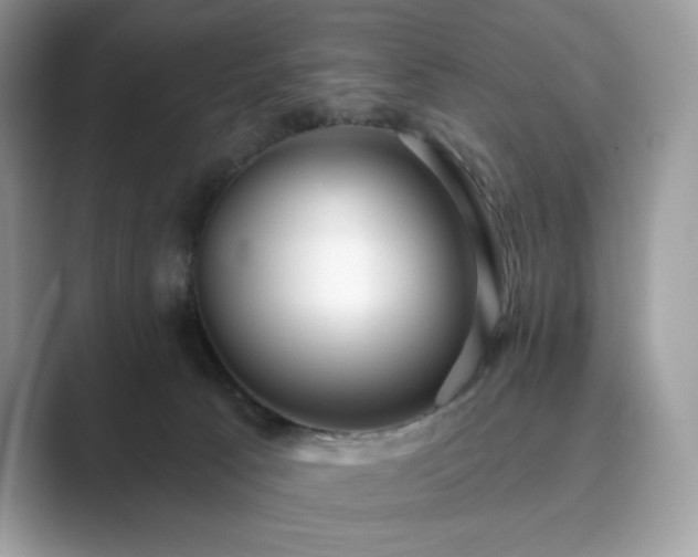 X0000089900033200707051316