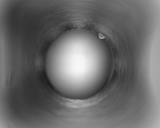 X0000089900034200707051316
