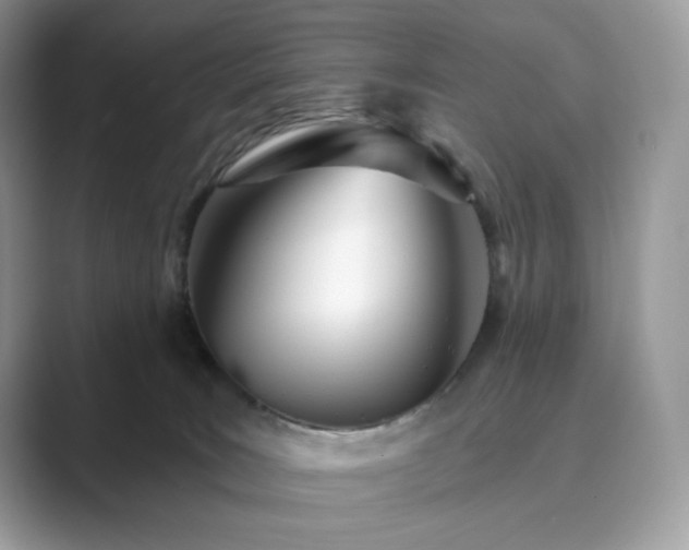 X0000089900035200707051316
