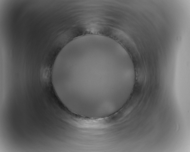 X0000089900036200707051316
