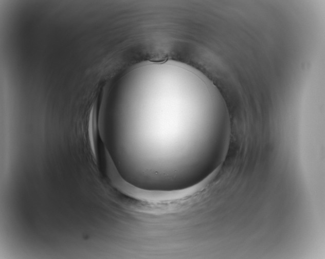 X0000089900037200707051316