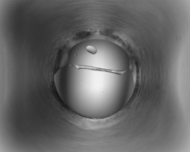 X0000089900039200707051316
