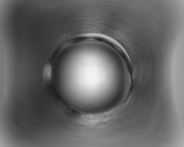 X0000089900041200707051316
