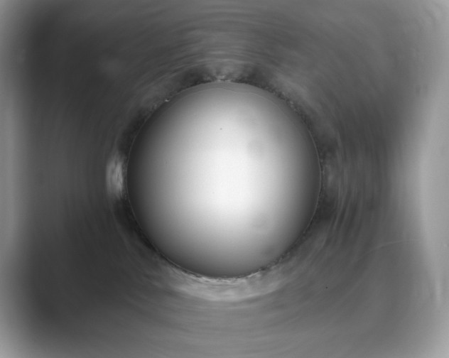X0000089900042200707051316