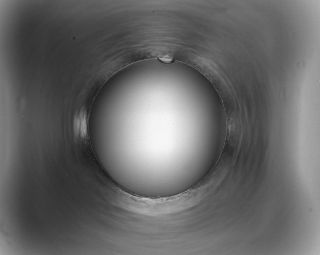 X0000089900046200707051316