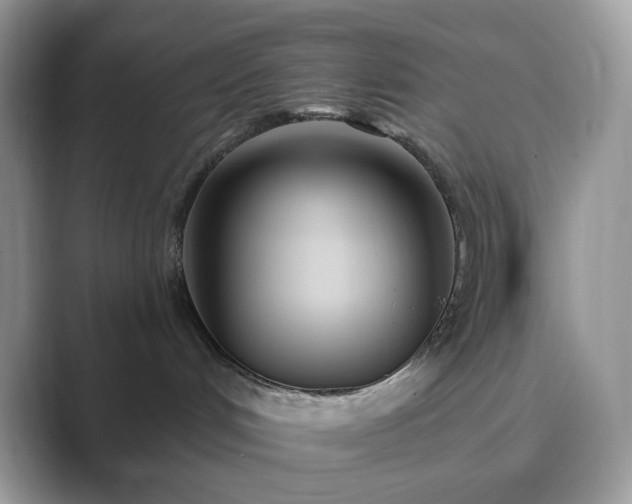 X0000089900048200707051316
