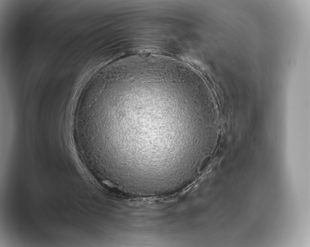X0000089900049200707051315