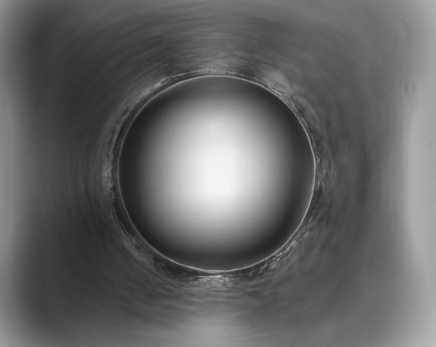 X0000089900050200707051315