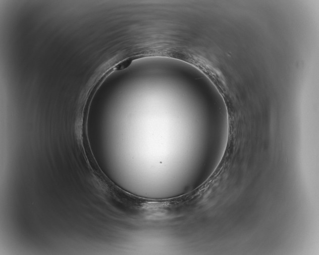 X0000089900051200707051315