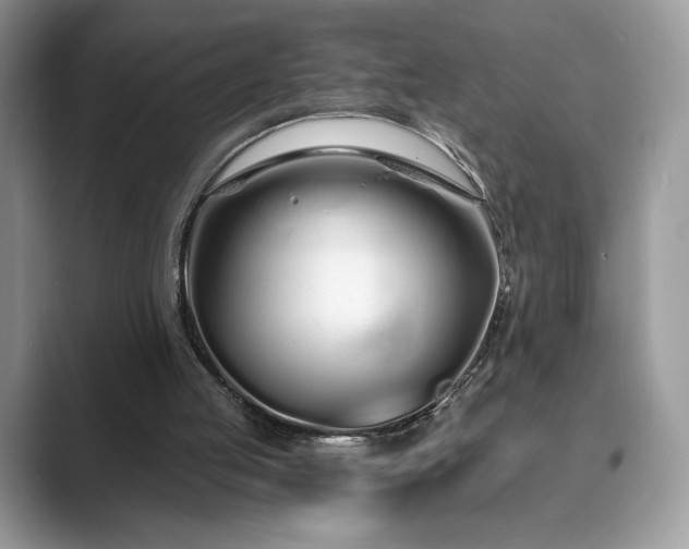 X0000089900053200707051315