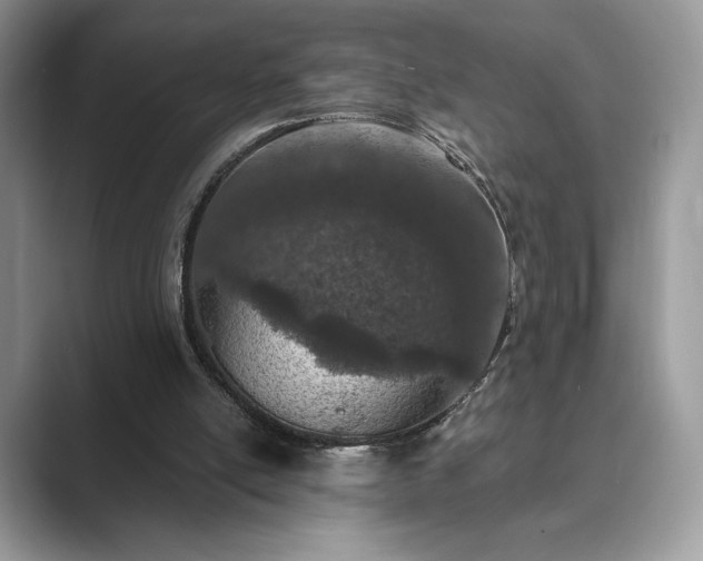 X0000089900054200707051315