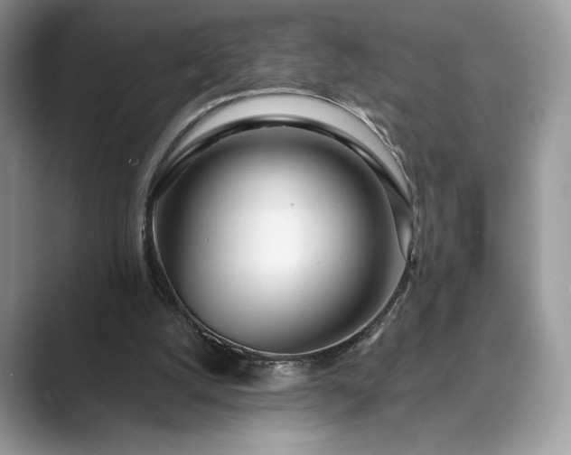 X0000089900056200707051315
