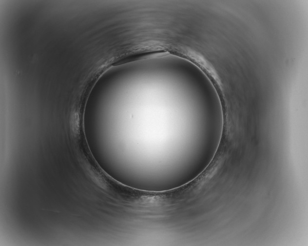 X0000089900057200707051315