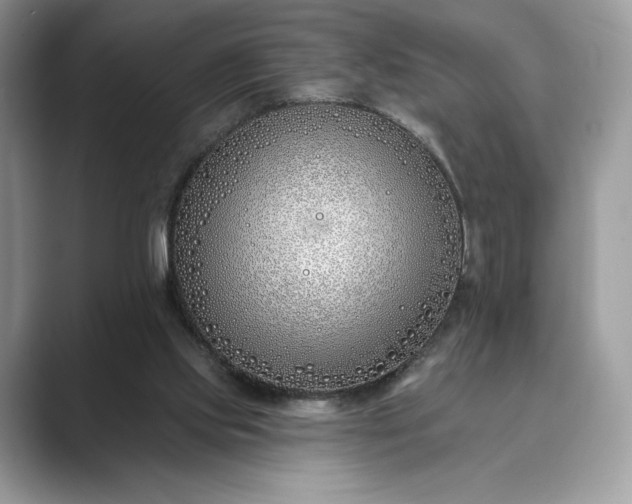 X0000089900061200707051315