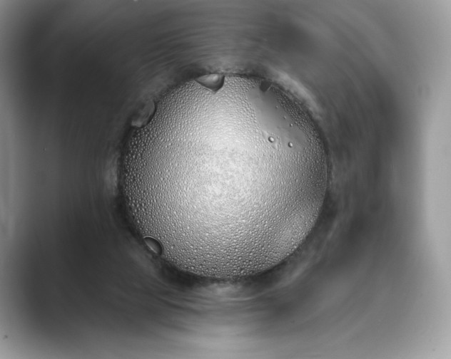 X0000089900065200707051315