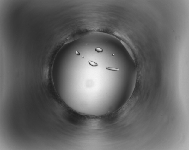 X0000089900066200707051315
