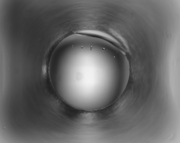 X0000089900067200707051315