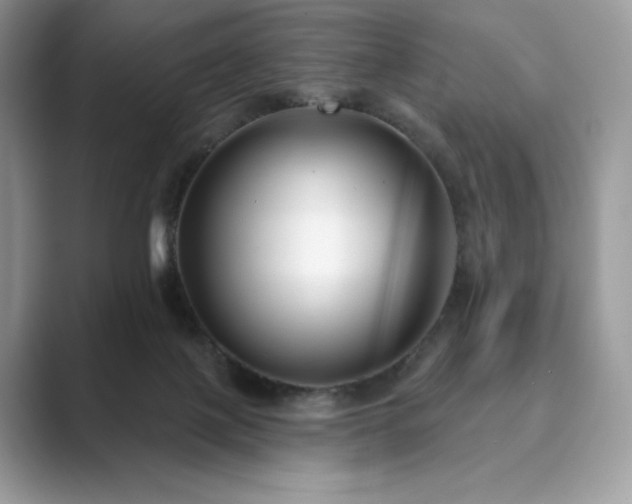 X0000089900075200707051315