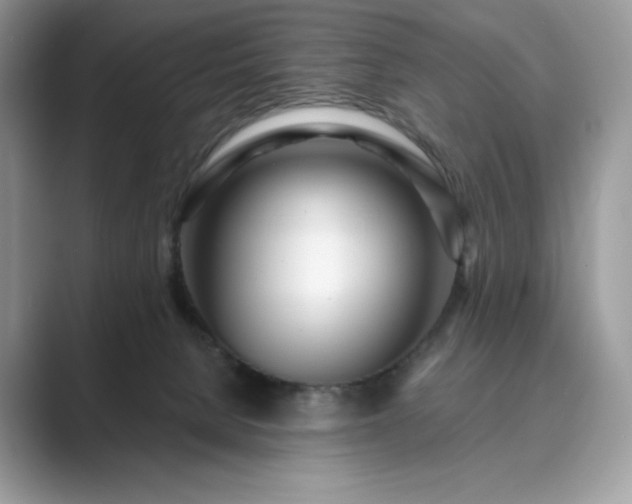 X0000089900080200707051315
