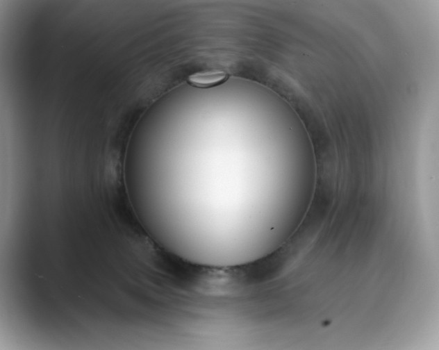 X0000089900083200707051315