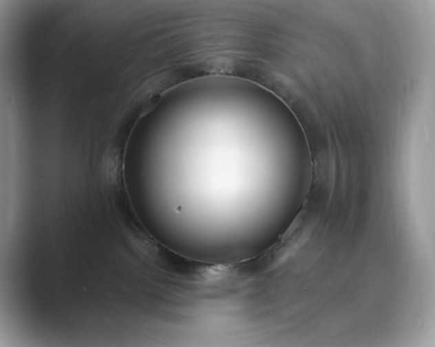 X0000089900092200707051316
