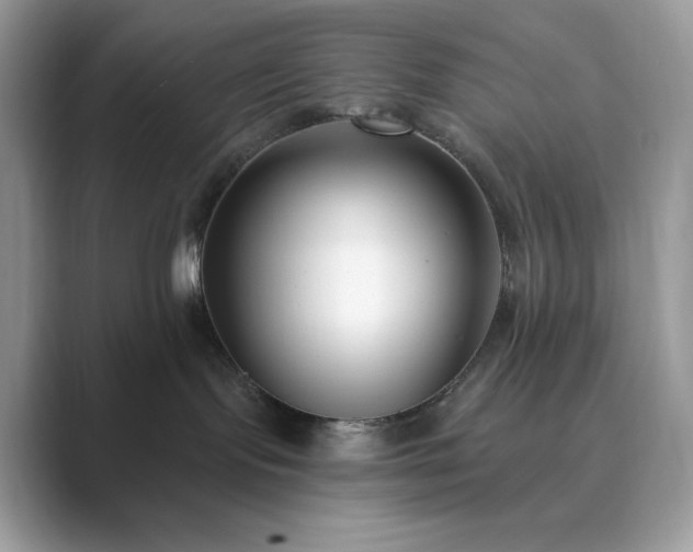 X0000089900095200707051316