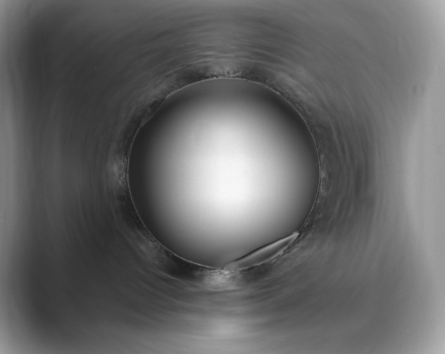 X0000089900096200707051316