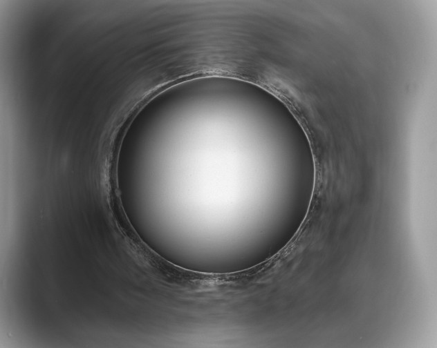 X0000089900098200707051315
