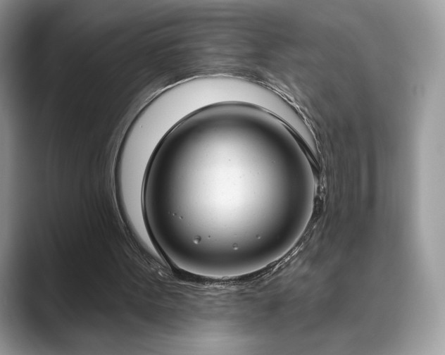 X0000089900099200707051315