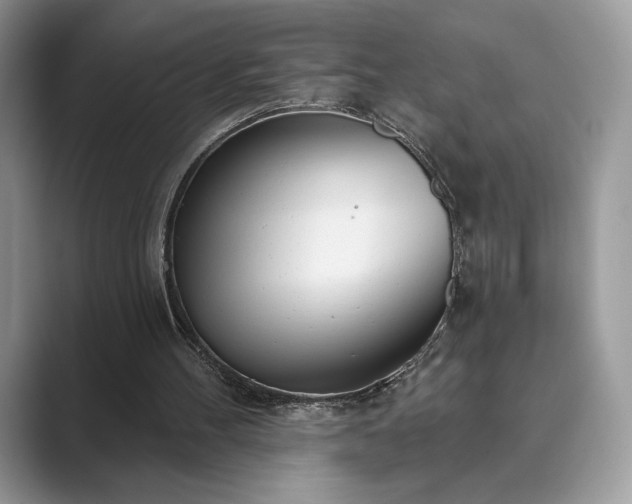 X0000089900100200707051315