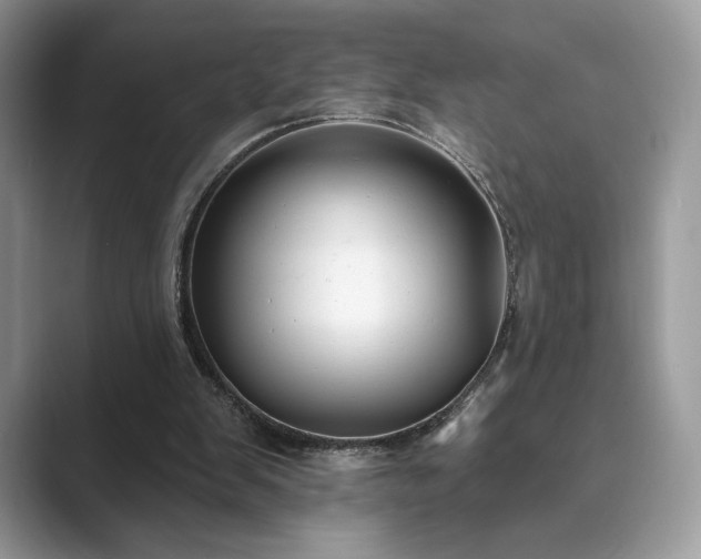 X0000089900103200707051315